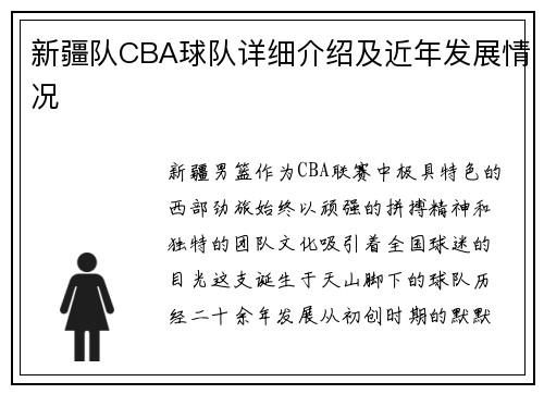 新疆队CBA球队详细介绍及近年发展情况