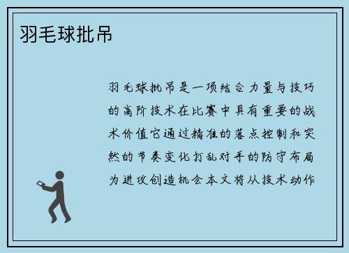 羽毛球批吊